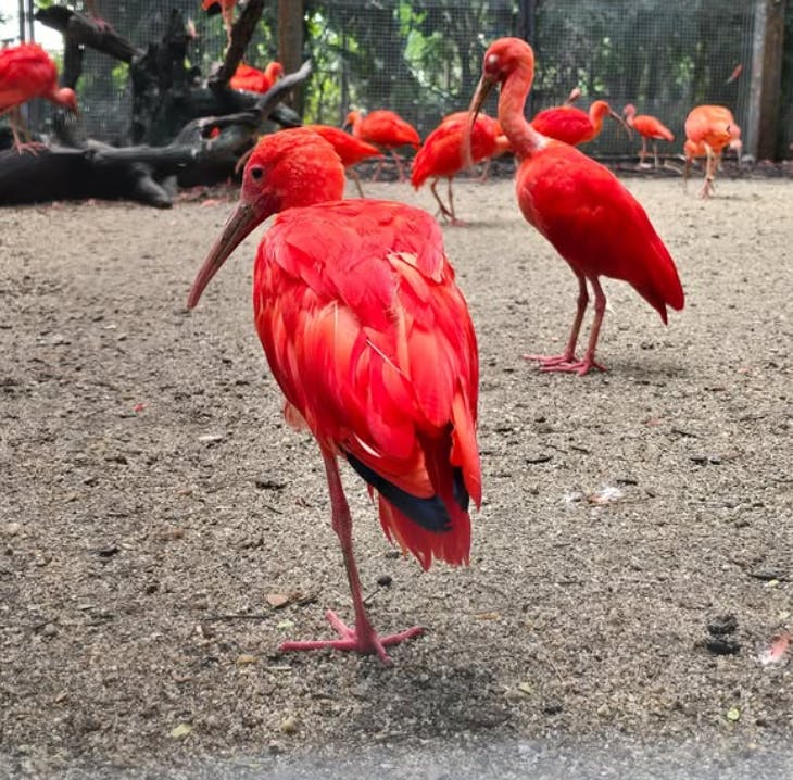 Safari World Bangkok